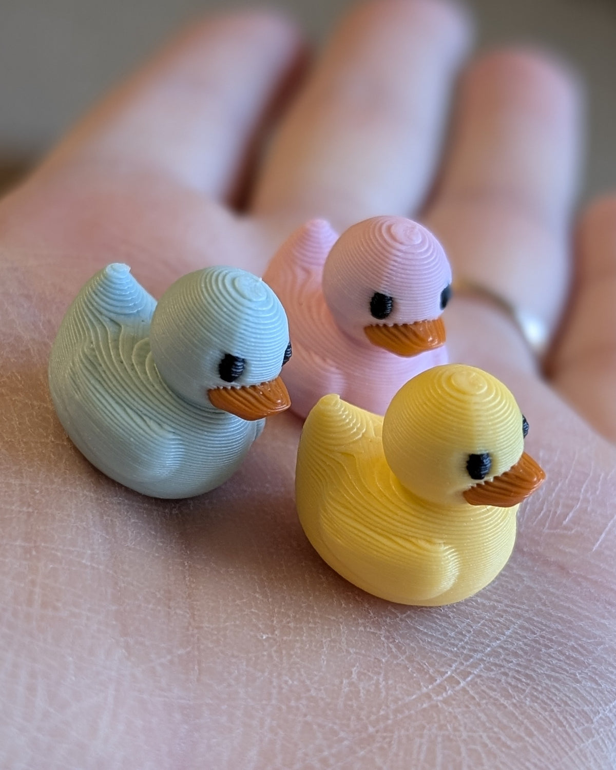 DUCKIES HUGGIES