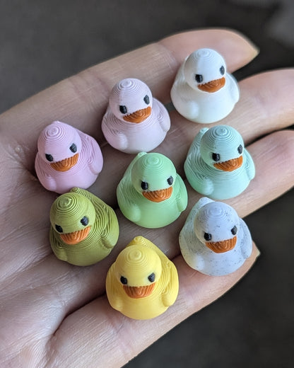 DUCKIES HUGGIES